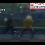 【事件】ニシキゴイを刺し殺した福岡久留米市の少年を逮捕！犯人達の犯行動画がやばい件・・・（動画・画像あり）