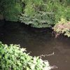 【事故】宮城県大衡村の沼に転落で釣りの親子3人が死亡…現場の写真がやばい…（画像あり）