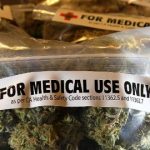 【衝撃】医療大麻は存在する？しない？→真実をご覧くださいｗｗｗ