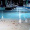 【氷の水族館】北九州「スペースワールド」やらかす…魚を氷漬けにしたアイスリンクの写真がヤバすぎる…（画像あり）