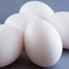 グルメサイト「冷凍卵でたまごかけおにぎらず」の作り方が完全にアウトｗｗｗｗｗ（画像・動画あり）