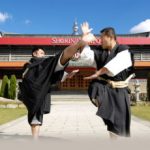 【海外の反応】中国、日本の少林寺拳法パクリにブチ切れるｗｗｗｗｗｗ