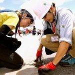 【緊急悲報】ヒアリ、やばい場所で見つかる…（画像あり）