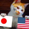 【海外の反応】アメリカ人、日本の若者に苦言ｗｗｗｗｗｗｗｗｗ