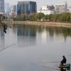【悲報】大阪城の堀で「禁止の釣り」が横行した結果・・・（画像あり）
