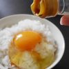 【衝撃】卵かけご飯、かき混ぜて食べる日本人の割合ｗｗｗｗｗｗ
