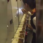 【炎上】中国の美人スチュワーデス、乗客の機内食15個を一気食いした結果・・・（画像あり）