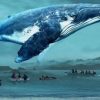 【速報】静岡県の海辺にクジラ…地震の前兆か…