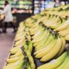 【新パナマ病】バナナ終了のお知らせ…今のうちに買い占めとけよ…
