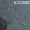 【衝撃】長野地震と東日本大震災を比較した結果…まじかよこれ…
