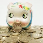 【衝撃】月収14万で100万貯める方法こちらｗｗｗｗｗｗｗｗｗｗｗｗｗｗ