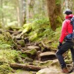 【愕然】地元の標高200mの山を登ってみた結果ｗｗｗｗｗｗｗｗｗｗ