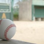 【愕然】アホ「災害レベルの暑さやから甲子園はドームでやるべき」カス「生徒の安全が～」→