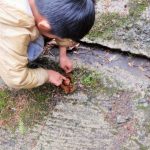 【驚愕】最近の小学生、夏休みの自由研究にヤバイものを使ってしまうｗｗｗｗｗｗｗ