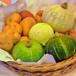 【悲報】植物さん、人間に対して恐怖を感じていたと判明ｗｗｗｗ菜食主義者どうすんだこれｗｗｗｗｗｗ