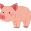 【衝撃画像】豚を丸ごと販売するスーパーがやばいｗｗｗｗｗｗｗｗｗｗ