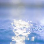 【衝撃】池の水ぜんぶ抜iく、番組史上最大の池に挑戦した結果ｗｗｗｗｗｗ