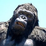 【悲報】キングコング「え！次はワイとゴジラが戦うんですか」→（画像あり）