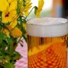 【悲報】日本の対韓国ビール輸出額、とんでもないことになるｗｗｗｗｗｗｗｗ