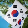 【悲報】韓国の国会の様子がまんま日本のアレｗｗｗｗｗｗｗｗ（画像あり）