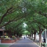 【悲報】ワイ、千代田区～港区を歩いて格差社会を見せつけられるｗｗｗｗｗｗｗｗ