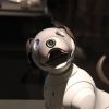 【衝撃】サムスンが開発したロボット犬ｗｗｗｗｗｗｗｗ（画像あり）