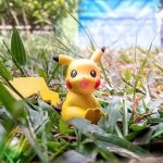 【仰天】ピカチュウそっくりな謎の動物がゲットされる！！！（画像あり）
