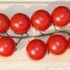 【驚愕】プチトマト切った時にまな板に残った種を植えてみた結果ｗｗｗｗｗｗｗｗ（画像あり）