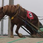 【驚愕】ばんえい競馬、トンデモナイことが起きるｗｗｗｗｗｗｗ