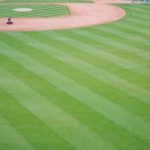 【驚愕】仙台育英のドラフト1位候補、トンデモナイことに！！！…..