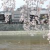 【戦慄】京都・鴨川、衝撃の光景に……！！！(画像あり)