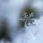 【悲報】除雪機、負けるｗｗｗｗｗｗｗｗｗ(画像あり)