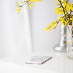 【衝撃】風呂場で充電しながらiPhoneを使用した12歳男児の末路……