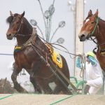 【唖然】ばんえい競馬で騎手が馬の顔を蹴り上げた動画、驚きの理由がこちら！！！…..