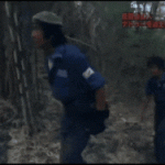 【衝撃GIF】藤岡弘探検隊、ガチで死人が出る寸前だった・・・（動画あり）