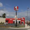 【狂気】ヴィーガンさん、KFCの店内で衝撃の抗議活動……！！！(画像あり)