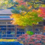 【悲報】シンガポールに移住した中田敦彦さん、悲惨すぎる末路を迎える・・・