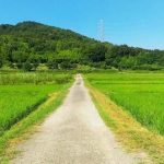 【日本終了】愛知県で人類がチョウザメに敗北・・・（画像あり）