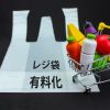 【悲報】小泉進次郎のレジ袋有料化のせいでお盆にとんでもない悲劇が起きる……！！！
