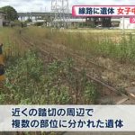 【速報】女子中学生のバラバラ遺体発見…ミンチになった模様・・・
