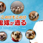 【速報】北斗晶、神田沙也加さん訃報の後にブログ削除 → その驚きの理由・・・