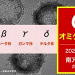 【緊急速報】デルタ株とオミクロン株、衝撃の真実が明らかになる・・・