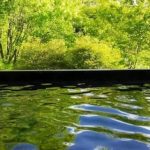 【画像あり】日本人「おい、白人美女が温泉に入ってるぞ！」→ 結果ｗｗｗｗｗｗｗｗ