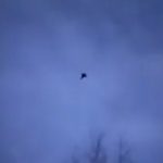 【超動画】ロシア軍が実践投入した最新鋭ステルス戦闘機すげええええｗｗｗｗｗｗｗｗｗ