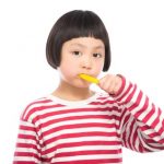 【衝撃画像】歯の神経がこちら…ヤバ過ぎだろ…
