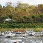 【山梨行方不明】新たに発見された右腕と足の骨から新事実発覚・・・