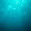【速報】知床観光船の沈没事故、水中カメラで船室内を撮影した結果 → 驚きの物が・・・