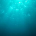 【速報】知床観光船の沈没事故、水中カメラで船室内を撮影した結果 → 驚きの物が・・・