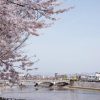 【衝撃画像】京都の天神川、ガチで危険な状態になってしまう・・・・・
