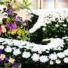 【悲報】安倍元首相の国葬、最大の懸念事項がこちら…ヤバすぎ…